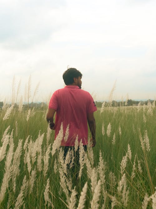 <em>Marcos P.</em>